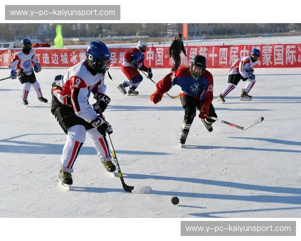 冰球看台：速度、热情与场景化传播的魔力