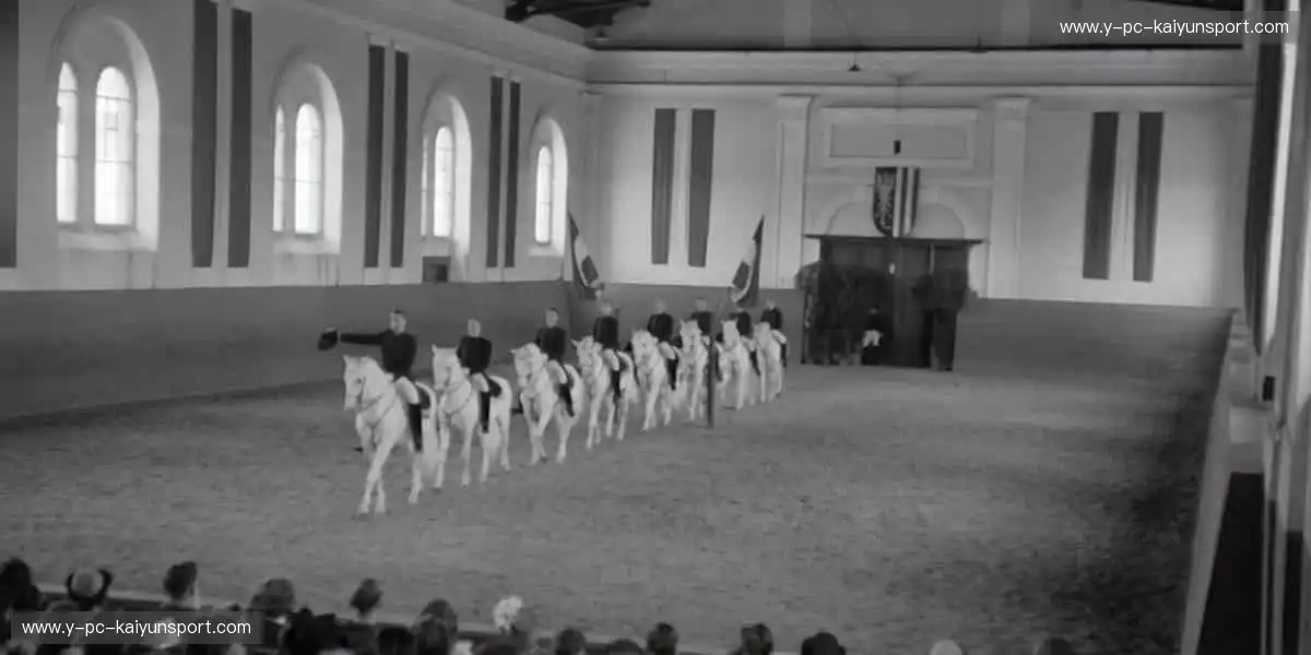 🏅赛事报名，开启你的冠军之路！